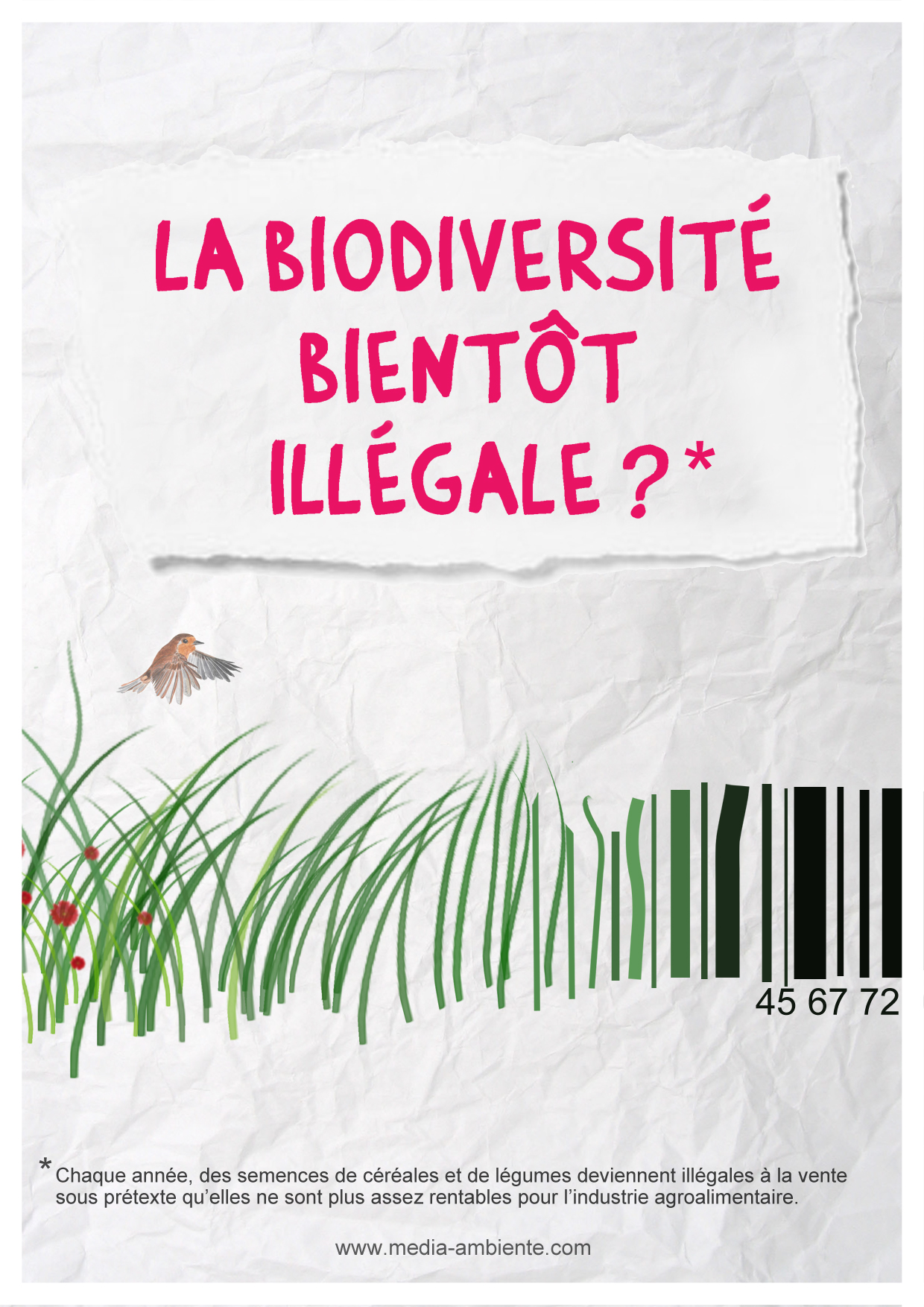 valentin_besnardiere_biodiversite_infographie